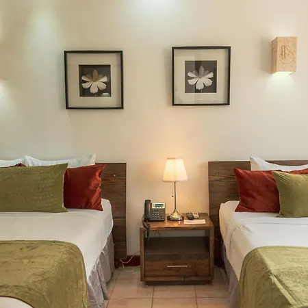 Hotel Silvestre-2